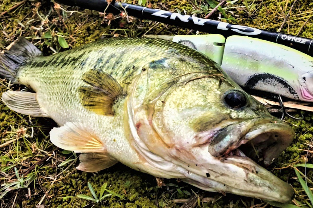 ZENAQ GLANZ ゼナック グランツ B78-10X富山県からです - ロッド